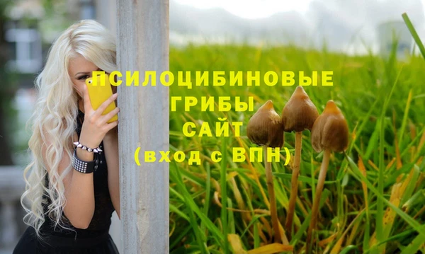 ешки Абаза